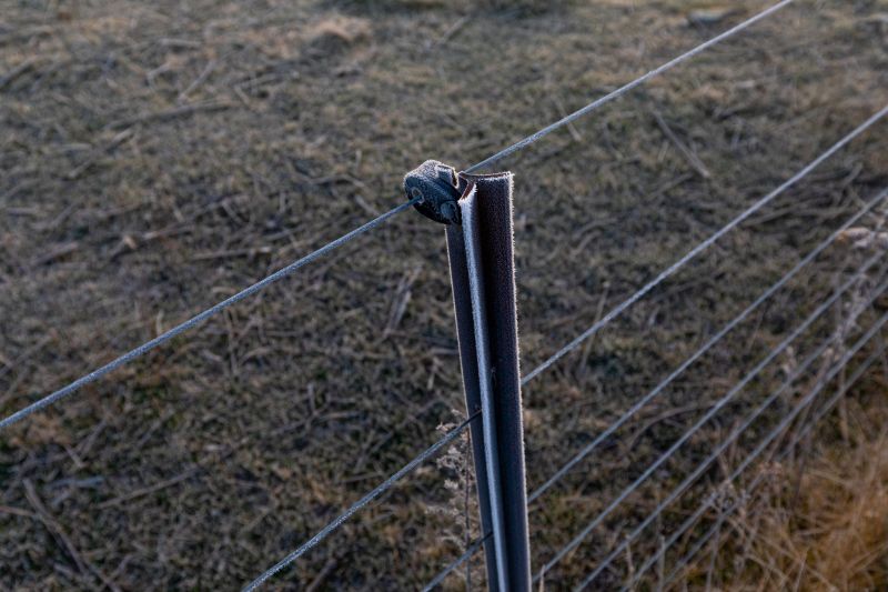 Choosing The Right Steel Fence