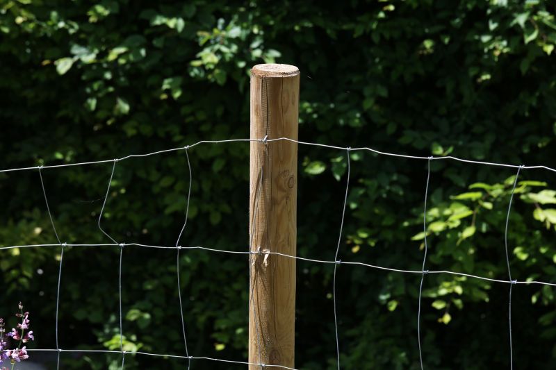 Enhance Curb Appeal With Wood Fencing