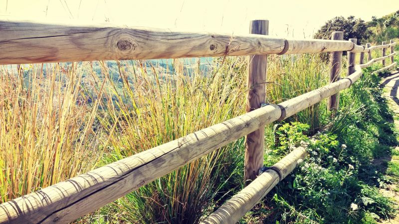 Popular Wood Fence Styles