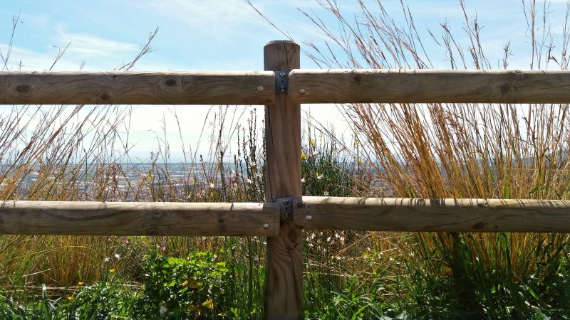 Popular Wood Fence Styles