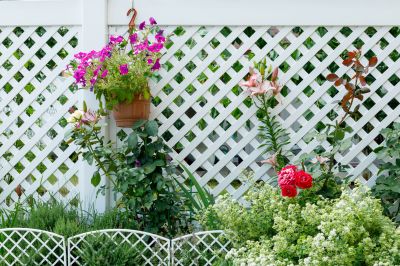 Why Homeowners Install Pvc Fences