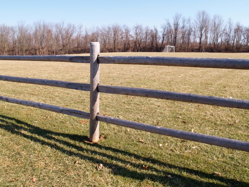 Wood Privacy Fence Ideas
